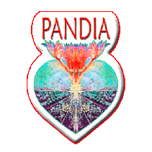 Pandia Publishing favicon based on our logo of a woman with her feet on the earth and her hands touching Heaven.